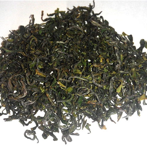 日照綠茶 早春茶中的精品綠茶