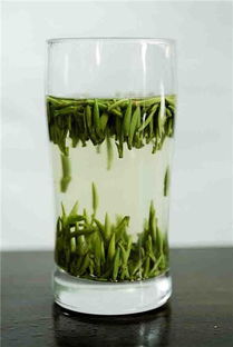 喝綠茶會胖嗎？解構綠茶與體重的關系