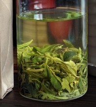 日照綠茶袋裝產品參考信息全解析