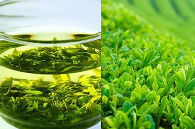 綠茶的功效有哪些？你知道全部嗎